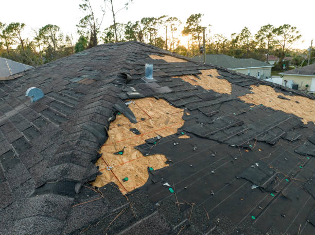 Best Roof Leak Repair  in Cove Creek, NC